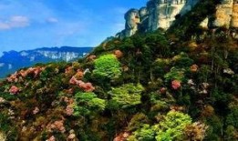 大渝网爆料台最新金佛山,揭秘最新奇自然奇观！”